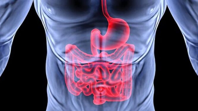 Nemoci gastrointestinálního traktu